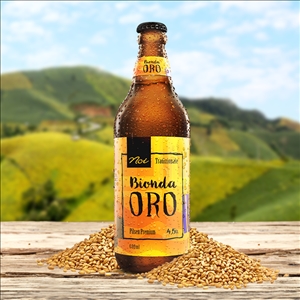 NOI BIONDA ORO