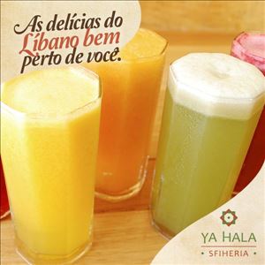 MEGA SUCO 1 LITRO