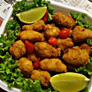 ISCA DE PEIXE PORÇÃO G