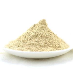CEBOLA EM PÓ 100g (Cód 1314)
