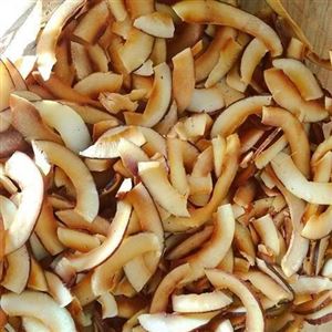 Chips de COCO 100g