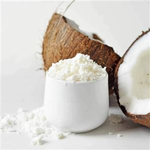 LEITE DE COCO EM PÓ 100g (Cód 1463)