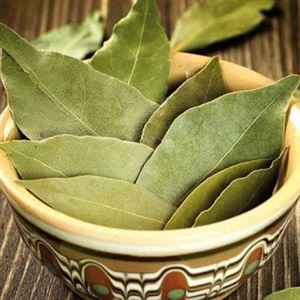 LOURO FOLHAS 100g (Cód 1440)