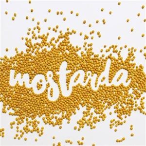 MOSTARDA EM GRÃO 100g (Cód 1303)