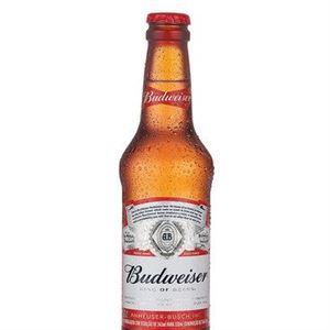 BUDWEISER LONG NECK