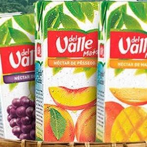 SUCO DEL VALE 1 LITRO