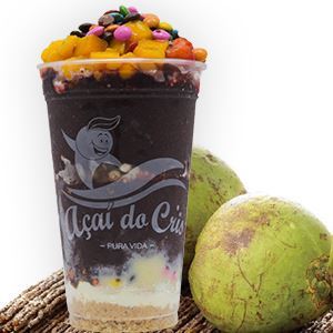 AÇAÍ ZERO AÇÚCAR COM ÁGUA DE CÔCO 300ML