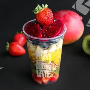 SALADA DE FRUTAS 500ML