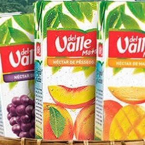 SUCO DEL VALE 1 LITRO